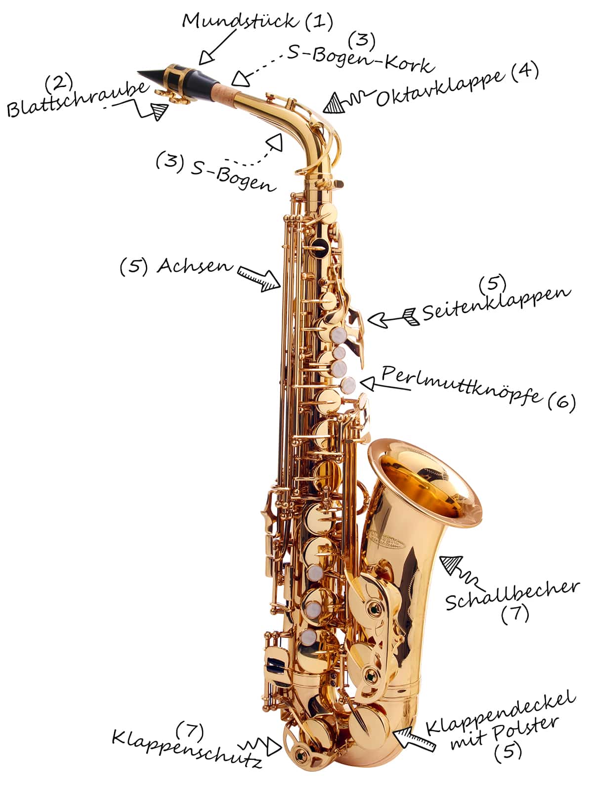 Aufbau und Bezeichnungen der Teile beim Saxophon
