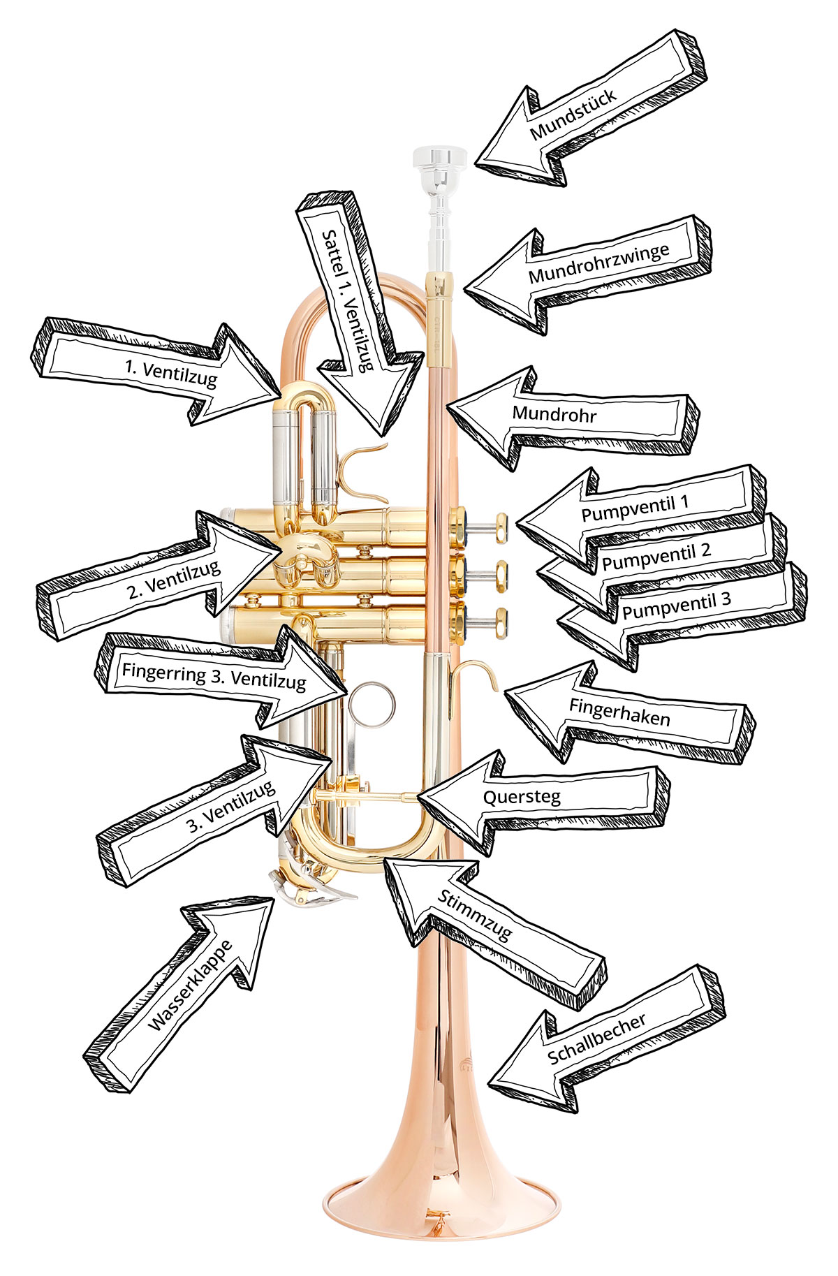 Bezeichnungen Trompete mit Pumpventilen
