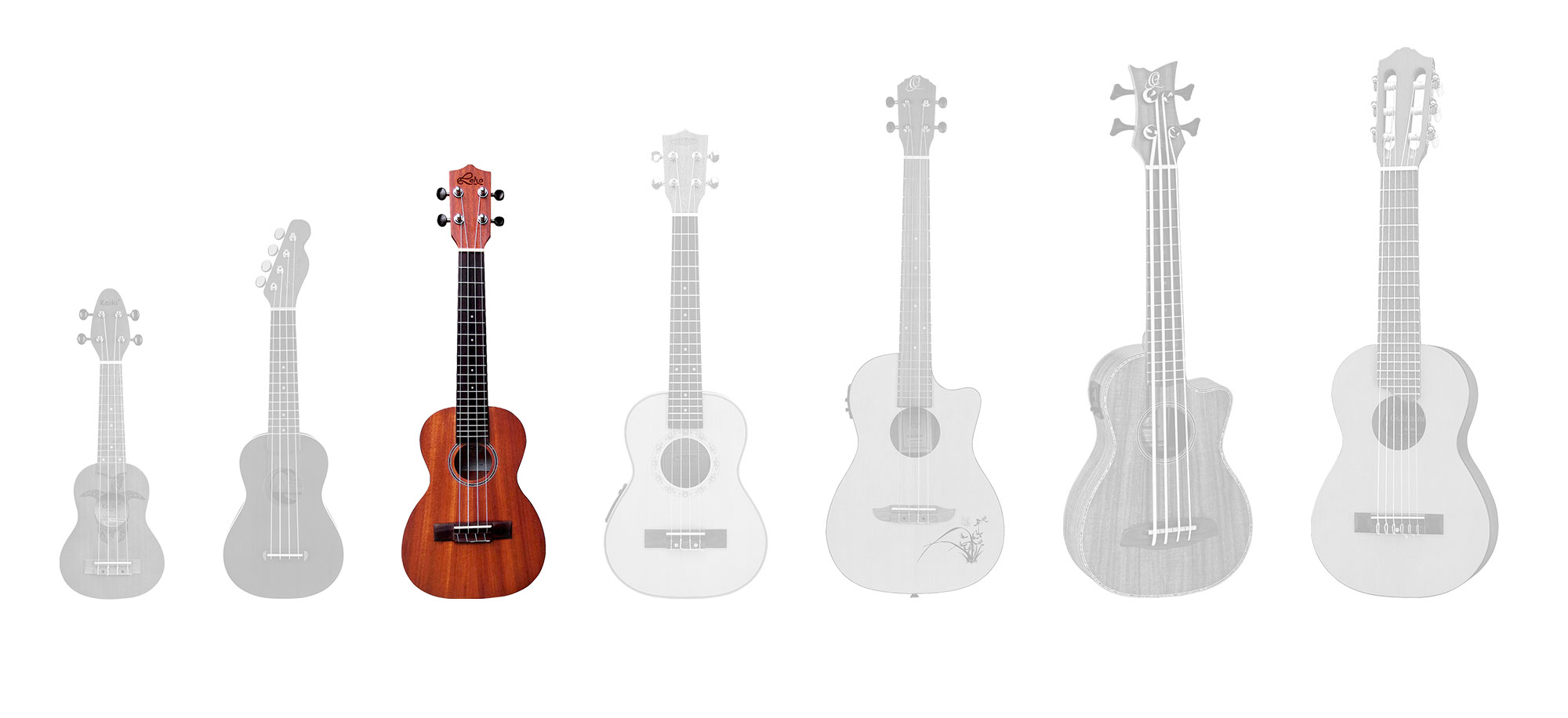 Die Konzert-Ukulele im Vergleich zu anderen Ukulelen-Größen